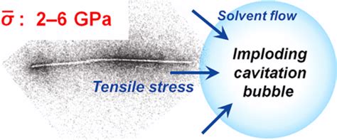  Cellulose Nanofibrils: 高強度生物材料的奇蹟