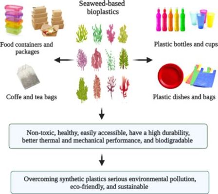 Kelp Bioplastics：革命性的生物基材料嗎？