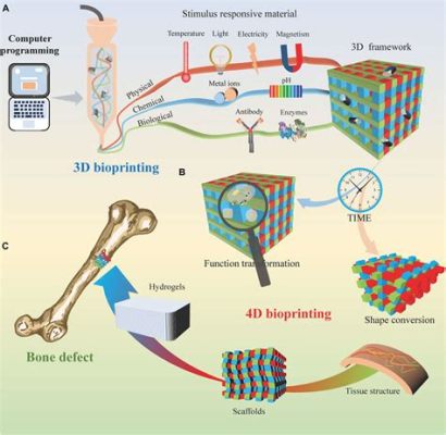  Xenotransplantation-Grade Bioceramics:  Revolutionizing Orthopedic Implants and Tissue Regeneration!